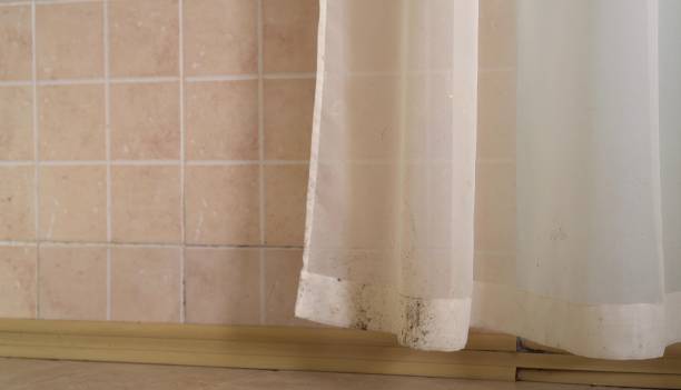 Best Biohazard Mold Removal  in Southside Place, TX