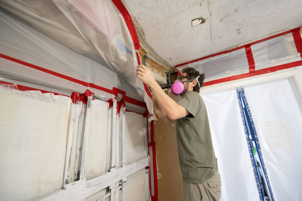 Best Mold Damage Restoration  in Southside Place, TX