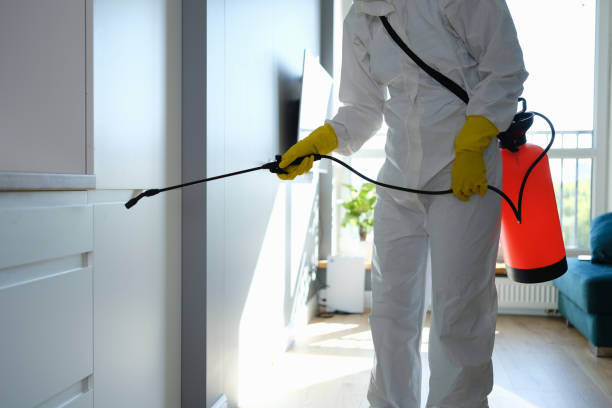 Best Commercial Mold Inspection  in Southside Place, TX