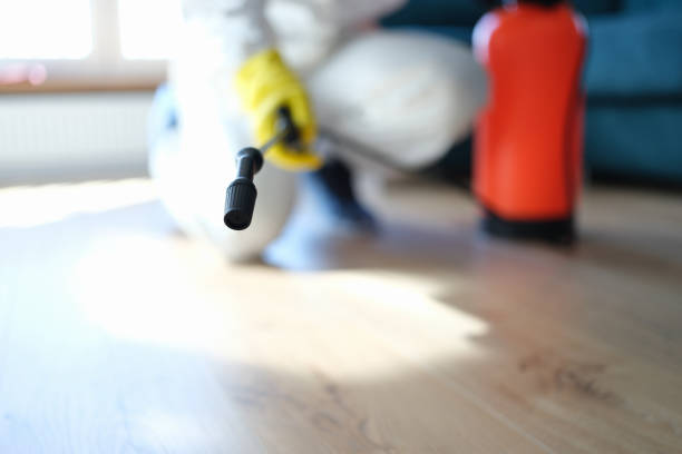 Best Industrial Mold Remediation  in Southside Place, TX
