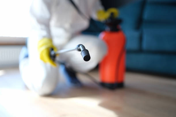 Best Mold Prevention Services  in Southside Place, TX
