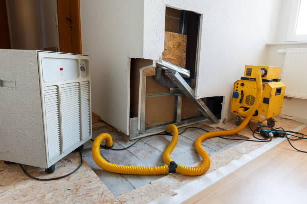 Best Air Quality Testing for Mold Spores  in Southside Place, TX