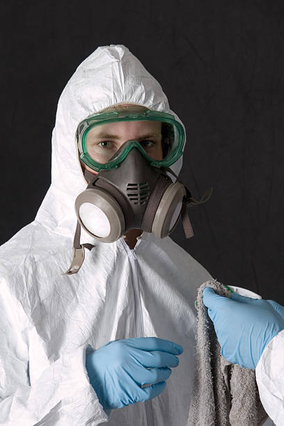 Best Water Damage & Mold Remediation  in Southside Place, TX